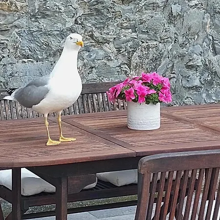 Holiday home La Risacca Sull'isola Palmaria Portovenere *